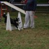 foire-haricots 2011-09-17et18